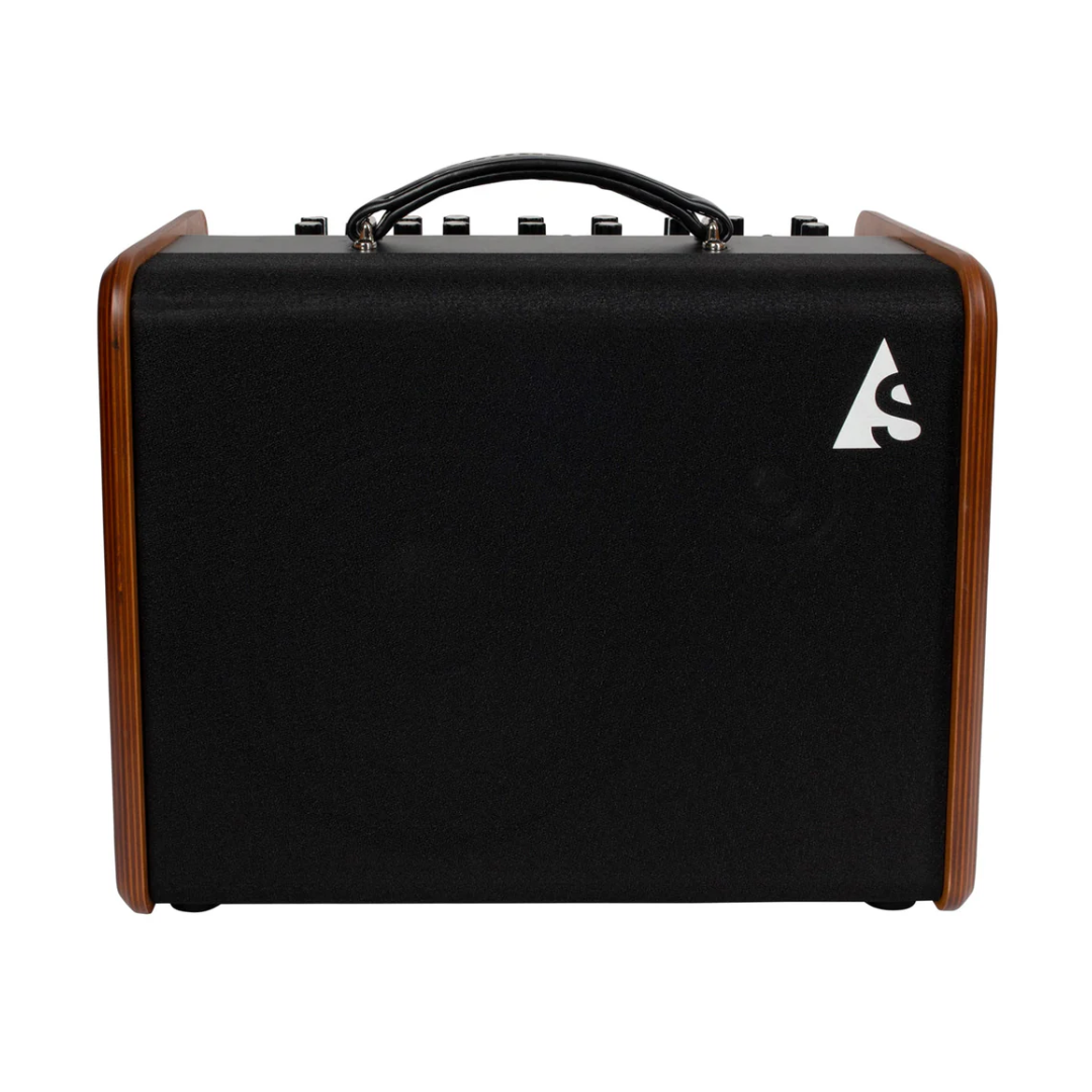 Godin Acoustic Solutions Guitar Amplifer ~ Natural