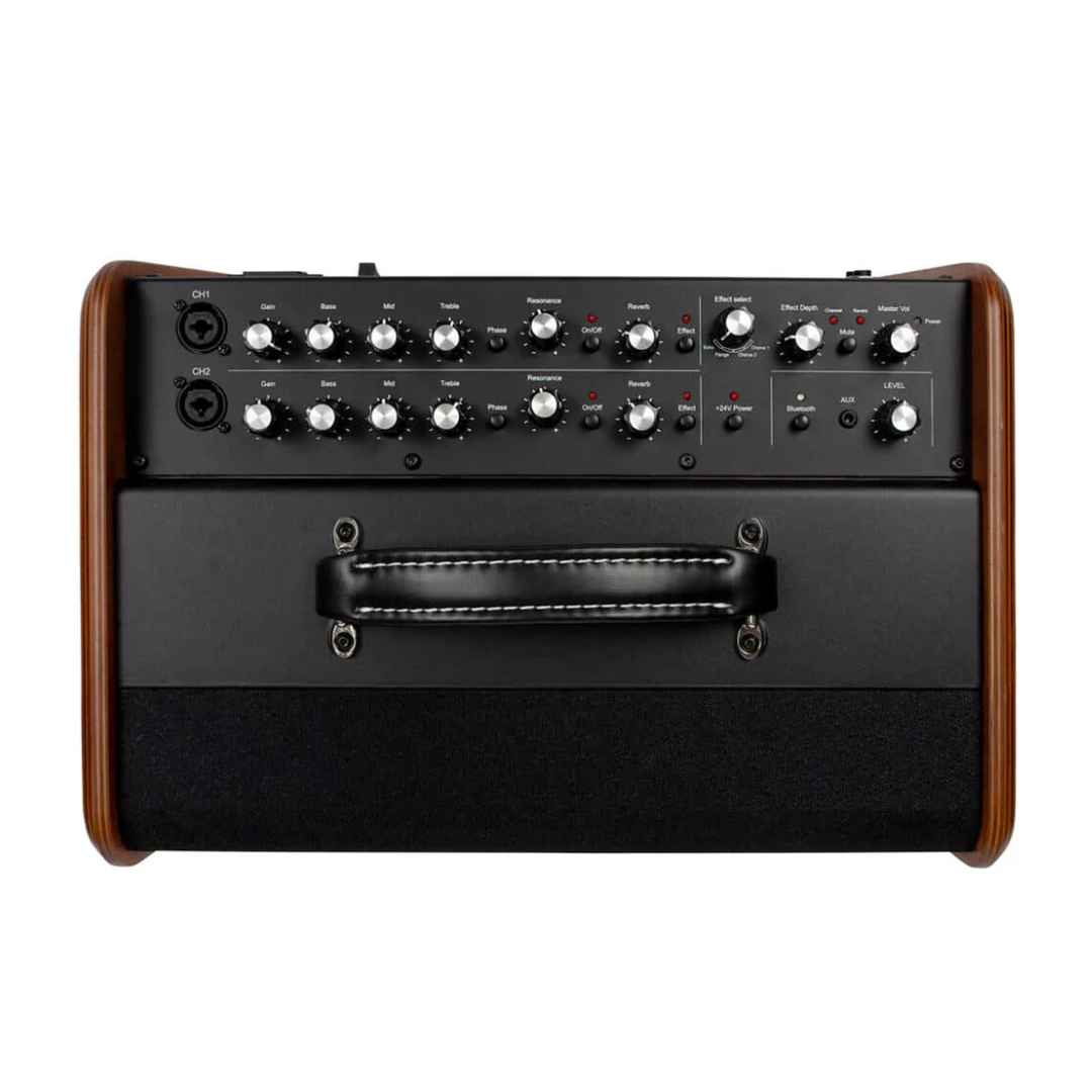 Godin Acoustic Solutions Guitar Amplifer ~ Natural