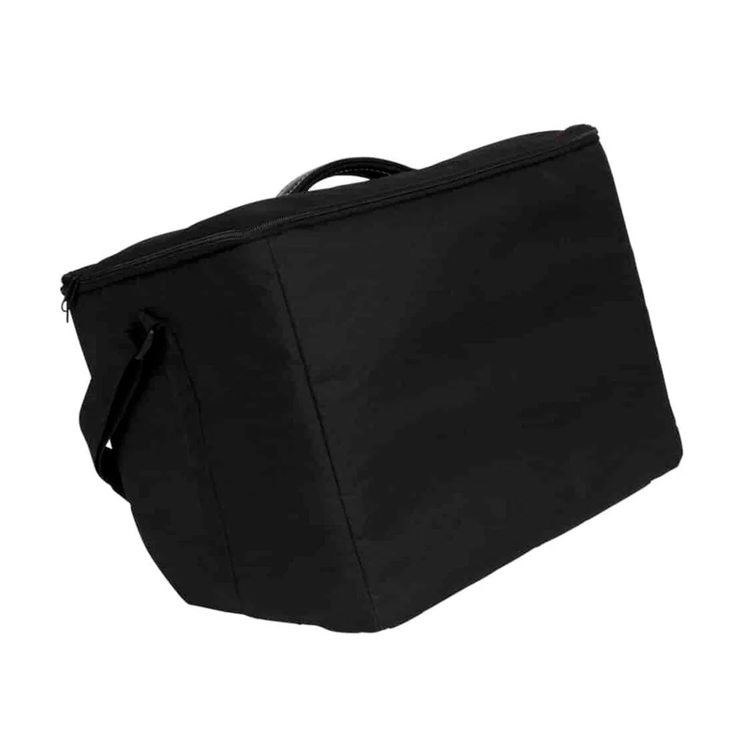 Godin Acoustic Solutions Guitar Amplifer ~ Natural