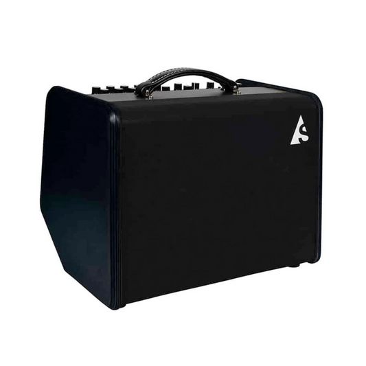 Godin Acoustic Solutions Guitar Amplifer ~ Black