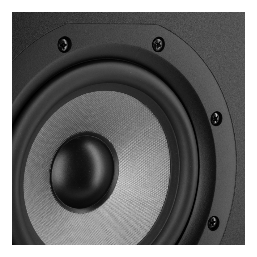 Prodipe Active Monitor 5" (bi-amplified) ~ Black Wood