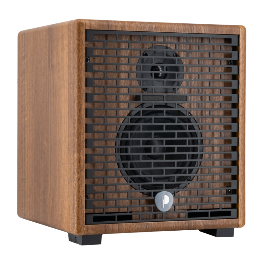 Prodipe Acoustic Instrument Amplifier ~ Walnut Wood