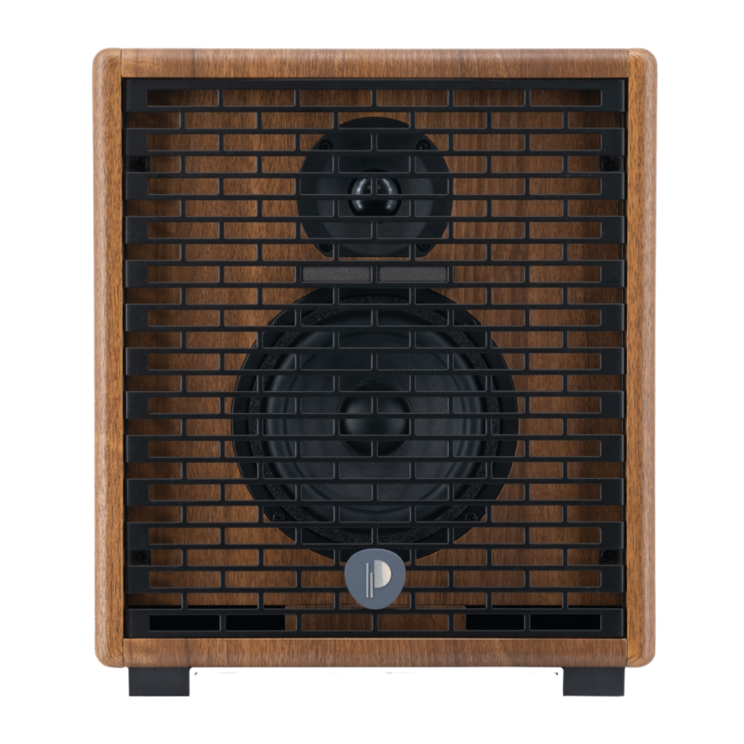 Prodipe Acoustic Instrument Amplifier ~ Walnut Wood