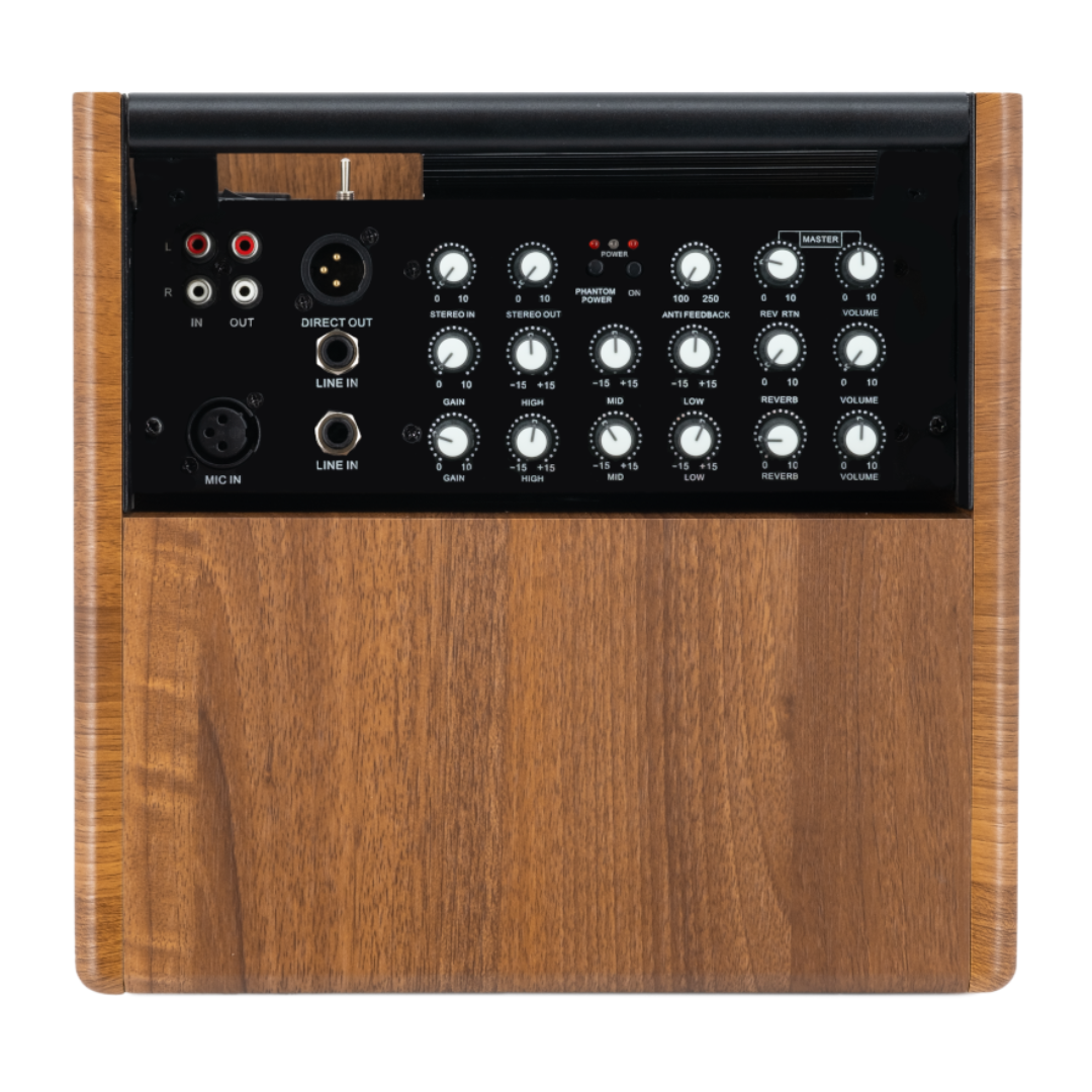 Prodipe Acoustic Instrument Amplifier ~ Walnut Wood