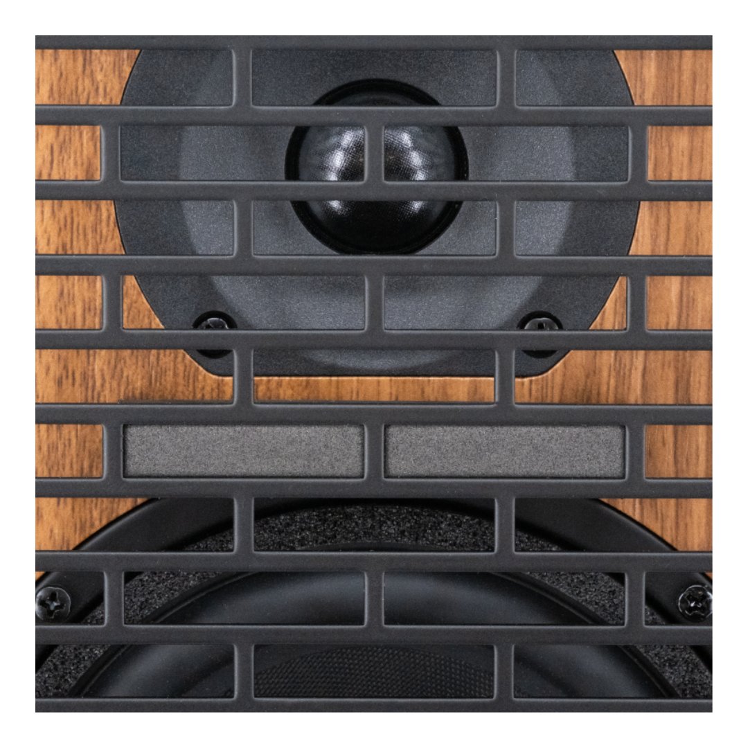 Prodipe Acoustic Instrument Amplifier ~ Walnut Wood