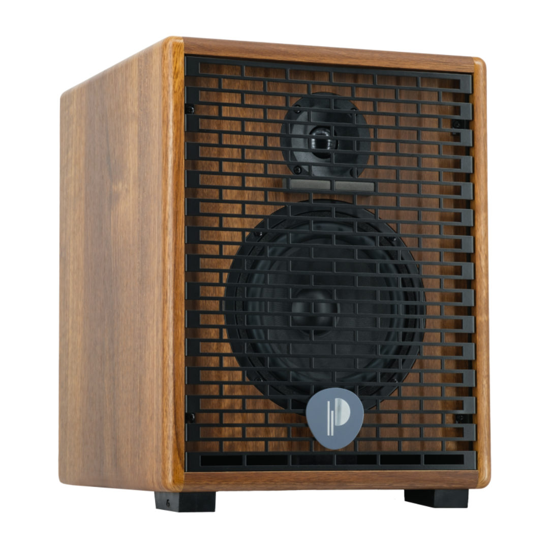 Prodipe Acoustic Instrument Amplifier ~ Walnut Wood