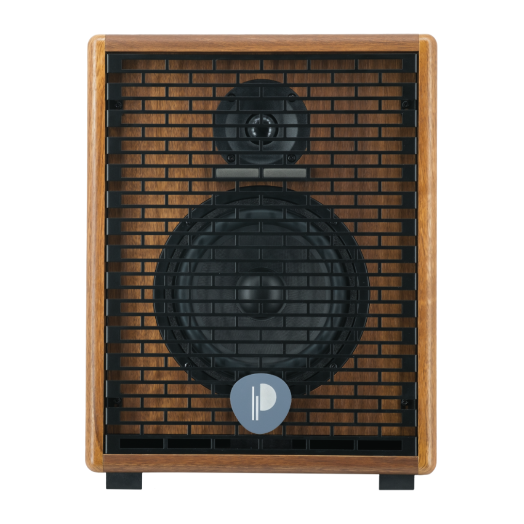 Prodipe Acoustic Instrument Amplifier ~ Walnut Wood