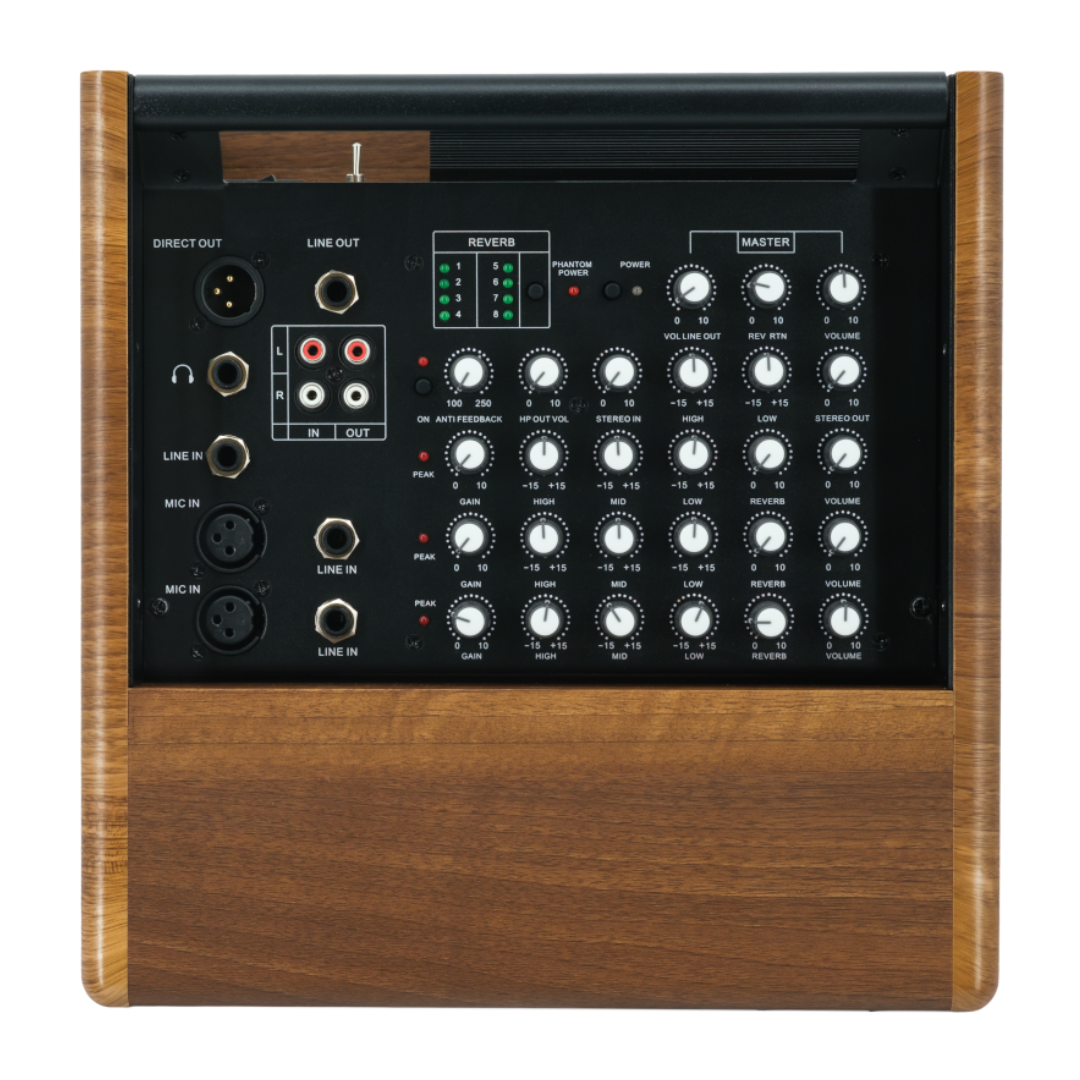 Prodipe Acoustic Instrument Amplifier ~ Walnut Wood