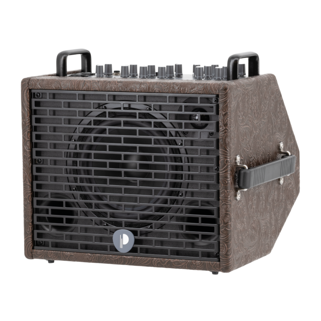 Prodipe Acoustic Instrument Amplifier NOMAD + Bag