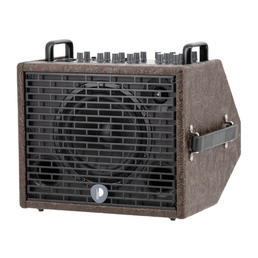 Prodipe Acoustic Instrument Amplifier NOMAD + Bag