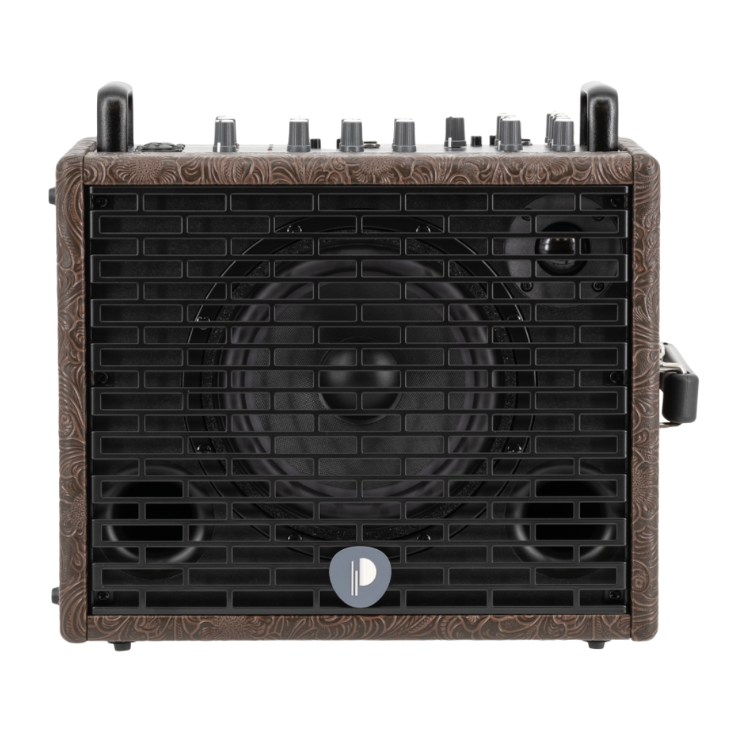 Prodipe Acoustic Instrument Amplifier NOMAD + Bag