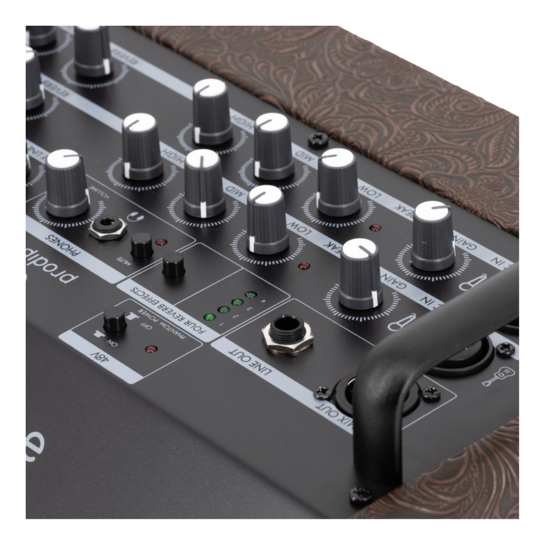 Prodipe Acoustic Instrument Amplifier NOMAD + Bag