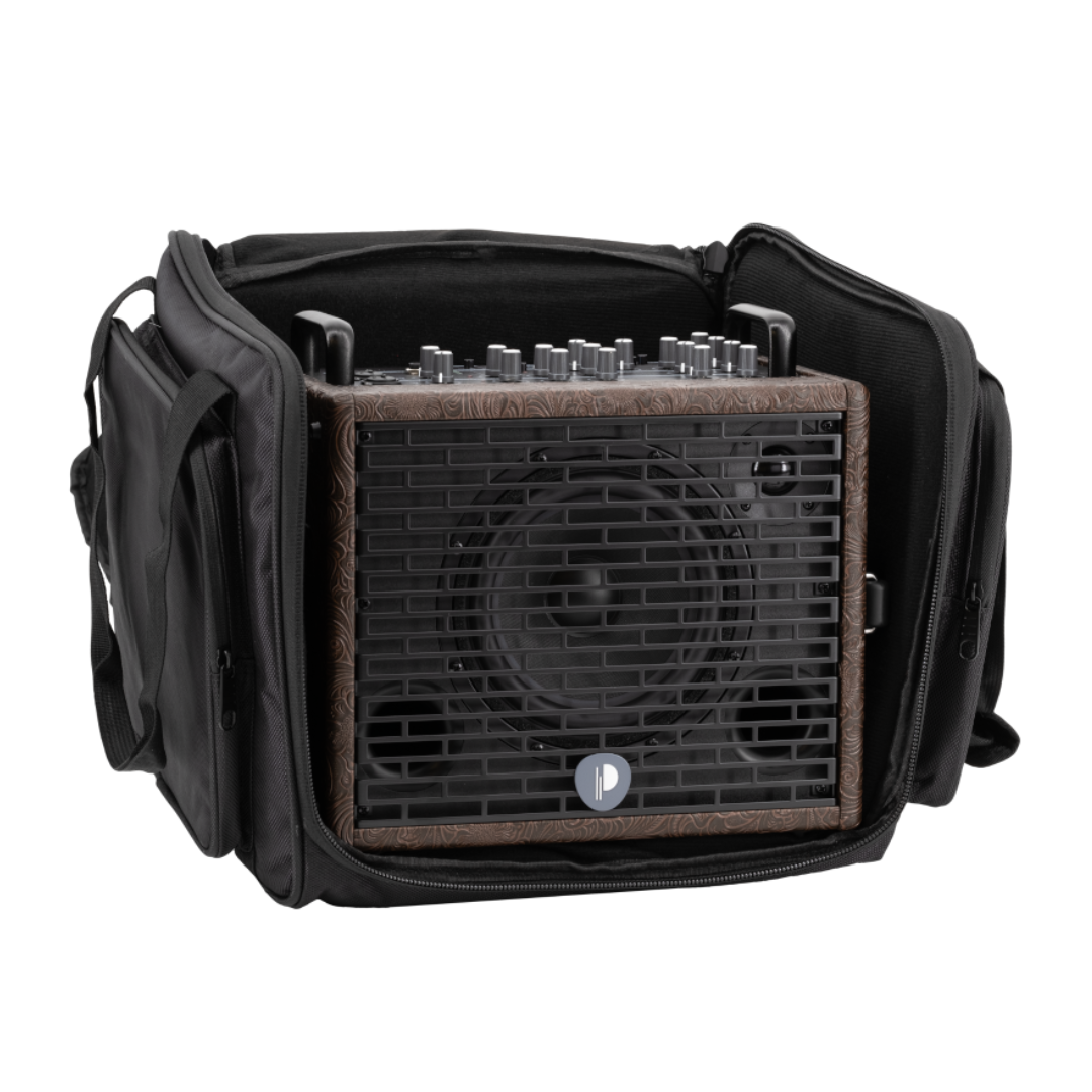 Prodipe Acoustic Instrument Amplifier NOMAD + Bag
