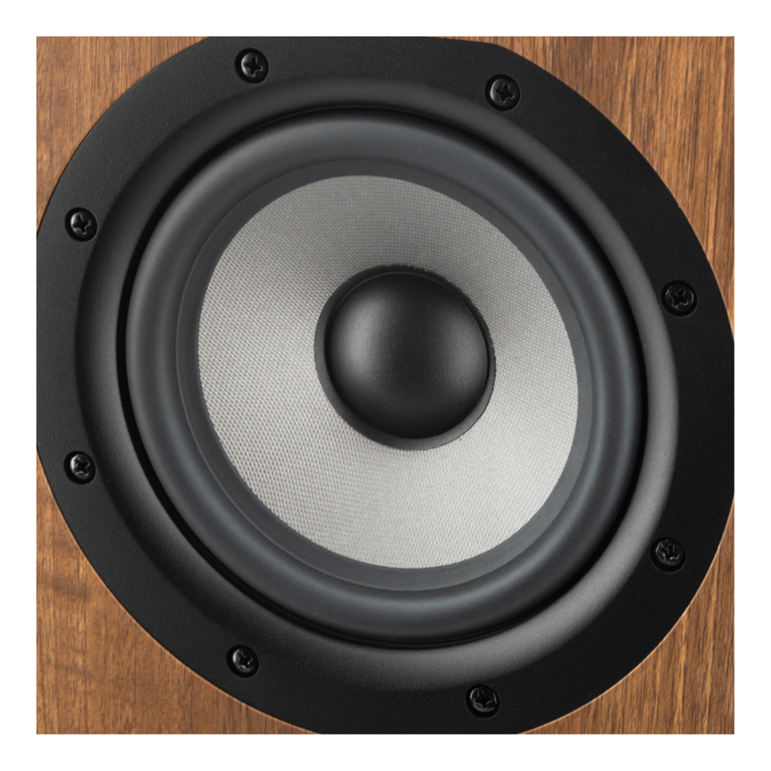 Prodipe Active Monitor 5" (bi-amplified) ~ Walnut Wood