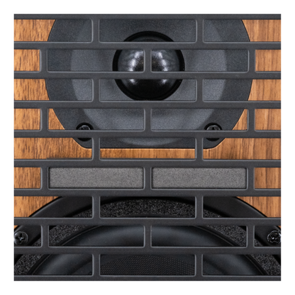 Prodipe Acoustic Instrument Amplifier ~ Walnut Wood