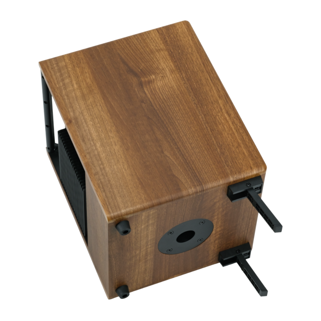 Prodipe Acoustic Instrument Amplifier ~ Walnut Wood